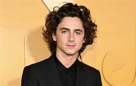 timothee chalamet versace|What I Saw at the Timothée Chalamet Lookalike Competition.